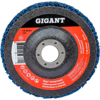 Абразивный коралловый диск Gigant G-KOR-06