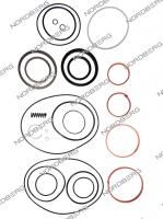 Ремкомплект цилиндра с XTP для домкрата N302 NORDBERG 000002040