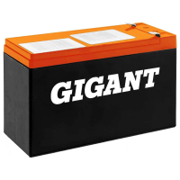 Аккумуляторная батарея Gigant GDTM-12072