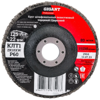 Круг лепестковый Gigant Professional 125х22.2 мм, P60, цирконий