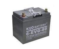 Аккумулятор свинцово-кислотный герм. (GEL) 12В/80Ач 260х170х210 для штабелёров IWS/WS15H