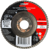 Круг лепестковый Gigant Professional 125х22.2 мм, P80, цирконий