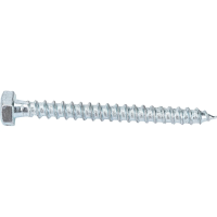 Шурупы Gigant 6.0x60, 1 кг