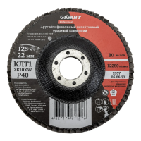 Круг лепестковый Gigant Professional 125х22.2 мм, P40, цирконий