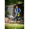 Электрическая воздуходувка RBV3000CESV Ryobi
