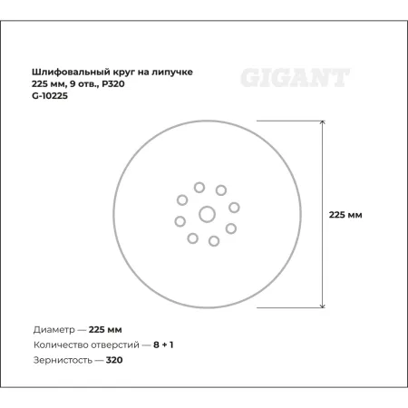 Шлифовальный круг Gigant G-10225