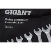 Набор рожковых ключей Gigant GDW12