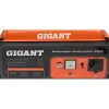 Бензиновый генератор Gigant GGL-3300E