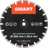 Алмазный сегментный диск по асфальту Gigant G-10359