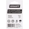 Круг отрезной по дереву, пластику Gigant GCSSW22