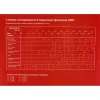 Маска сварщика хамелеон Gigant 9-13 450S