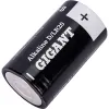 Батарейка Gigant Alkaline D/LR20