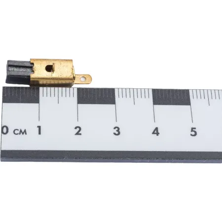 Запчасть CARBON BRUSH 5131031032 Ryobi