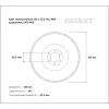 Круг лепестковый Gigant Professional 125х22.2 мм, P60, цирконий