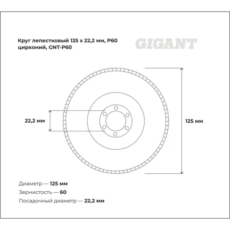 Круг лепестковый Gigant Professional 125х22.2 мм, P60, цирконий