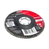 Круг лепестковый Gigant Professional 125х22.2 мм, P60, цирконий