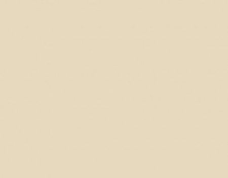 RAL- 1015 Promenel Полиуретановая грунт-эмаль (матов.), цвет легкий слоновый