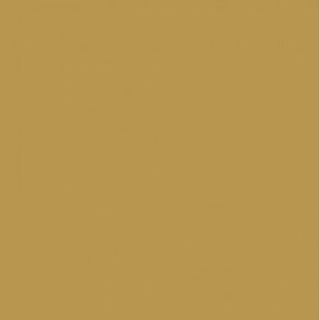 RAL- 1024 Promenel Полиуретановая грунт-эмаль (матов.), цвет желтая охра