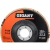 Торцевой круг лепестковый Gigant GRF-120-10