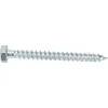 Шурупы Gigant 6.0x60, 1 кг