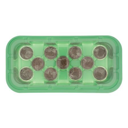 Мини-парник с крышкой, с торфяными таблетками, 240х125х50 мм, 11 ячеек, полистирол