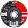 Круг лепестковый Gigant Professional 125х22.2 мм, P60, цирконий