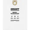 Синтетические мешки для пылесоса Gigant Star-Bh 70/5
