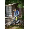 Электрическая воздуходувка RBV3000CESV Ryobi