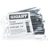 Строительные гвозди Gigant 4,0x100 мм 1 кг