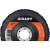 Коралловый диск абразивный Gigant G-KOR-03-5
