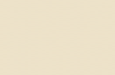 RAL- 1013 Promenel Полиуретановая грунт-эмаль (матов.), цвет белая устрица