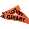 Инверторный сварочный аппарат Gigant GWM-250