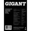 Светодиодный прожектор Gigant GLS-300