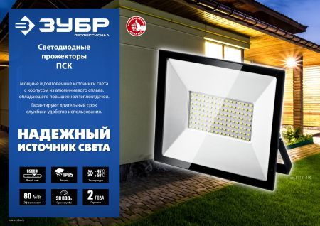 ЗУБР ПСК-200, 200 Вт, 6500 К, IP 65, светодиодный прожектор, Профессионал (57141-200)