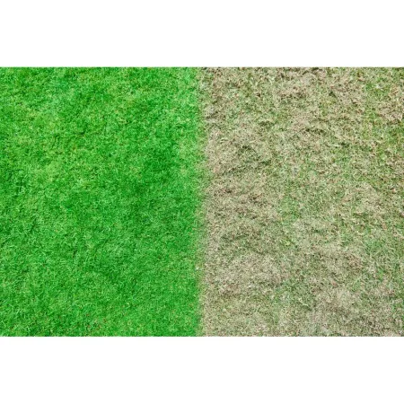 Бесщеточный скарификатор-аэратор RY18SFX35A-0 Ryobi