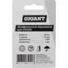 Абразивный шлифовальный круг Gigant GGAS20
