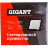 Светодиодный прожектор Gigant GLS-100