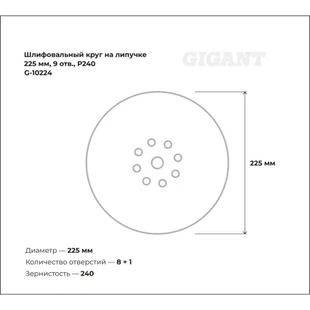 Шлифовальный круг Gigant G-10224