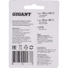 Батарейка Gigant Alkaline АА/LR6